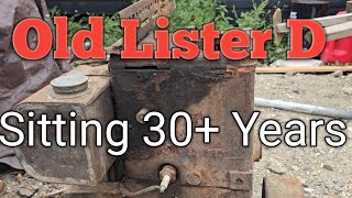 Genuine Barn Find old Lister Engine Will it start after 30 years [upl. by Bartolemo844]