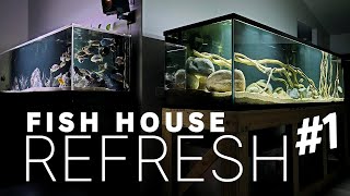 A Week in Review Life in My FISH HOUSE [upl. by Newton]