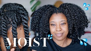 Moisturise DRY Natural Hair In 4 Easy Steps 🔢 Detailed wProduct Recommendations [upl. by Zena987]