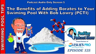 All About Adding Borates to Your Swimming Pool with Bob Lowry [upl. by Dallas]