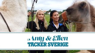 Ep14  Kamelridning och fiske  ANTY OCH ELLEN TÄCKER SVERIGE  TELE2TÄCKERSVERIGE [upl. by Faustina432]