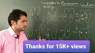 Conjugation in Paramecium caudatum [upl. by Keyes]