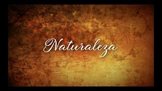 EDITH ARAVENA  NATURALEZA  NATURALEZA PISTA VIDEO LYRICS [upl. by Fiester]