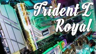 GSKill Trident Z Royal RGB Memory OMG [upl. by Ahsoyem]