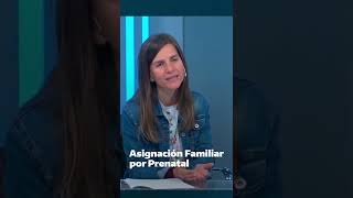 ANSES Responde Asignación Familiar por Prenatal [upl. by Eissat]