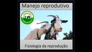 Aula 21 fisiologia reprodutiva de caprinos e ovinos [upl. by Goldy]