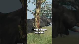 The Incredible Trunks of Elephants animalfacts elephants nature [upl. by Ecirtnahs]