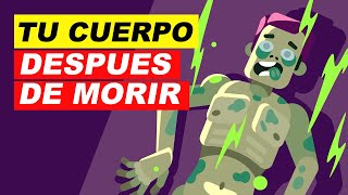 QUE LE PASA A NUESTRO CUERPO CUANDO MUERE [upl. by Romine]