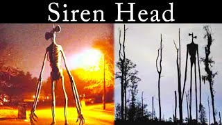 Siren Head Explained Trevor Henderson Creatures 2 [upl. by Rednav]