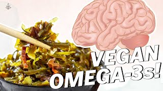 VEGAN Omega 3 Sources BETTER Than FISH  LIVEKINDLY [upl. by Ennaillij]