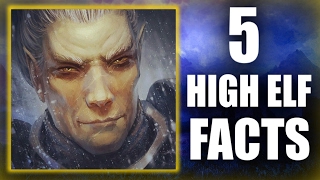 Skyrim  5 High Elf Facts  Elder Scrolls Lore [upl. by Kolnick738]