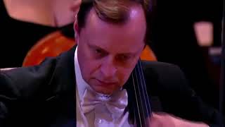 Valery Gergiev amp Mariinsky Theatre Orchestra Shostakovich Symphony 15 [upl. by Ahsoem701]