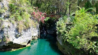 Tropical Paradise Cedar Lakes Woods and Gardens Florida [upl. by Barnabe]