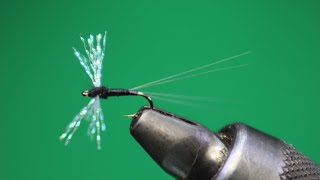 TRICO SPINNER  FLY TYING TUTORIAL [upl. by Ettenawtna]