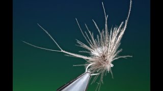 Fly Tying the Emaciated Mayfly with Barry Ord Clarke [upl. by Merilyn105]