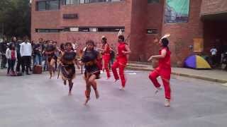 EL JAGUARKALA MARKA DANZA KAWSAY [upl. by Witty]