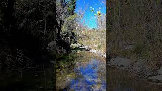 Exploring the Sabinal River At Los Maples State Natural Area [upl. by Lexie]