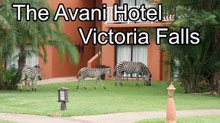 Avani Hotel Victoria Falls formally Zambezi Sun livingstone Zambia [upl. by Brelje]