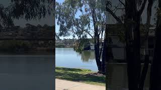 Listen to Bertha the Bunyip roar as The Captain Proud Paddle Boat passes by 30423 Murray Bridge SA [upl. by Craig]