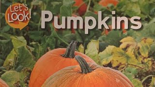 Pumpkins A NonFiction Read Aloud By Chelsea Donaldson [upl. by Esinaj849]