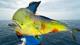 Fishermen Save Breached Dolphin in South Carolina [upl. by Ot]