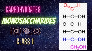 Carbohydrates  Monosaccharides  Isomers  Class 11  Biology  Explain in Urdu [upl. by Towroy350]