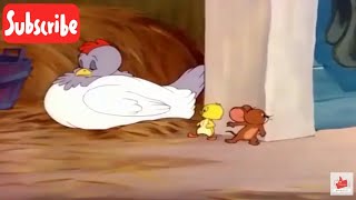 TomampJerry  Downhearted Duckling  Little Quacker  MS  Cartoon Videos  Tom  Jerry  V02 [upl. by Enelav]