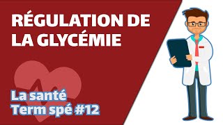 Régulation de la glycémie  SVT  SANTÉ Term spé 12  Mathrix [upl. by Yendirb111]