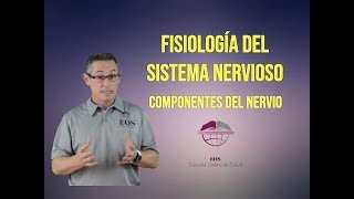 6 COMPONENTES DEL NERVIO [upl. by Rocray]