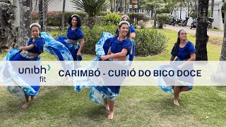 CARIMBÓ  Curió do Bico Doce  UNIBHFIT  Coreografia Dance Vídeo [upl. by Hannavahs]