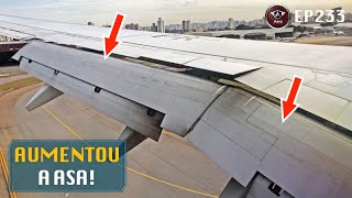 FLAPS  para que servem e como funcionam [upl. by Sacksen688]