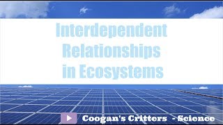 Interdependent Relationships in Ecosystems  Middle School Science [upl. by Mercier]