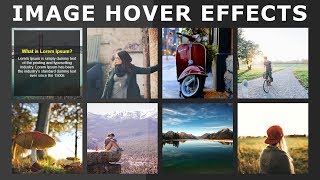 Css Image Hover Effects  Pure Css Tutorial  How To Create Image Hover Overlay Effects [upl. by Rento]