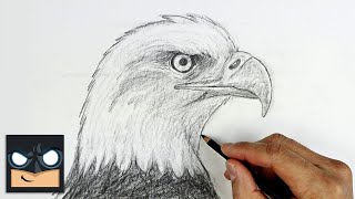 How To Draw a Bald Eagle  Sketch Sunday [upl. by Martinic]