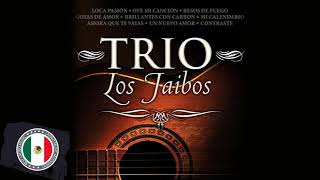 TRIO LOS JAIBOS GRADES EXITOS SUS MEJORES CANCIONES [upl. by Merry]