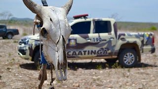 CAATINGA  CIOPAC PMSE [upl. by Agon171]