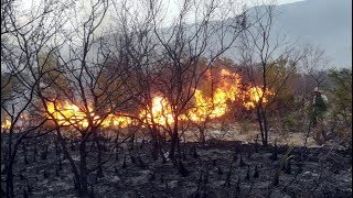 Fuego en San Juan Atzompa Puebla [upl. by Ellga]