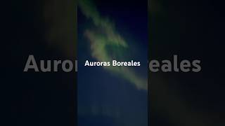 Así se ven las AURORAS BOREALES en Noruega 🇳🇴 noruega auroras [upl. by Amirak111]