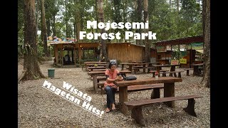 Mojosemi Forest Park Magetan [upl. by Zorah]