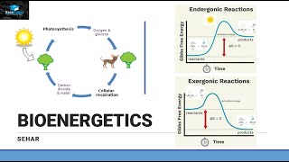 Introduction of Bioenergetics Part 1 [upl. by Con]