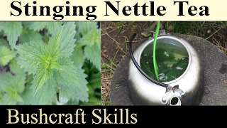 How To Make Stinging Nettle Tea  High Nutritious Herbal Drink For Bushcraft Prepping And Survival [upl. by Kilan]