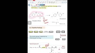 Organic chemistry Lec 2 part 2  Prodrug of functional groups [upl. by Kravits]