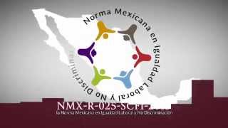 Norma Mexicana en Igualdad Laboral y No Discriminacion [upl. by Scherman280]