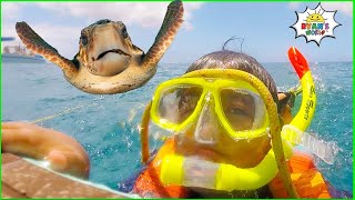 Ryans Snorkeling in the Ocean with Turtles [upl. by March]