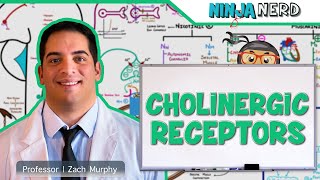 Neurology  Cholinergic Receptors [upl. by Emanuel163]