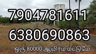 Low Budget Land For Sale in Tenkasi Near Pavoorchatram [upl. by Crin727]