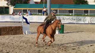 Portuguese National Championship Working Equitation Speed Trail GodinhoTrigo [upl. by Durtschi]