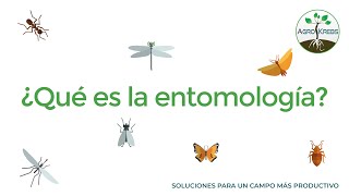 ¿Sabes qué es la Entomología [upl. by Aigneis415]