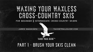 Wax Your Waxless XC Skis Part 1 Brush Your Skis Clean [upl. by Nyrem]