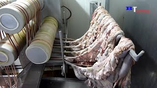 How Are Sausages Produced in Factories Excellent Food Production and Processing Process [upl. by Akemehc]